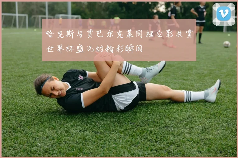 哈克斯与贾巴尔克莱同框合影共赏世界杯盛况的精彩瞬间